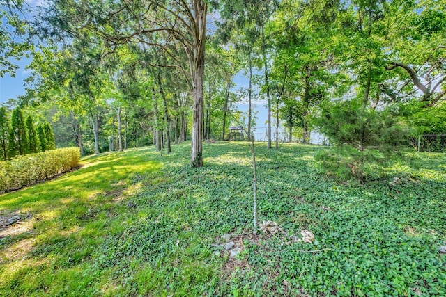 303 Mountainside Dr, Nashville, TN 37215 - photo 53