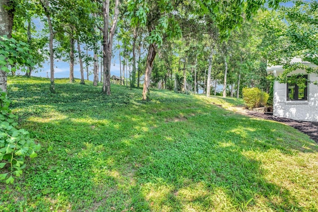 303 Mountainside Dr, Nashville, TN 37215 - photo 54