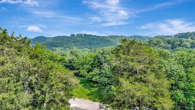 303 Mountainside Dr, Nashville, TN 37215 - photo 52