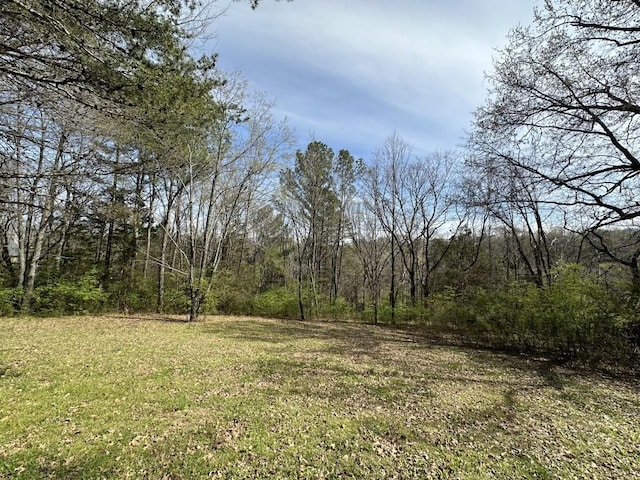 9665 Split Log Rd, Brentwood, TN 37027 - photo 13