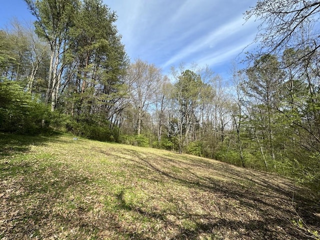 9665 Split Log Rd, Brentwood, TN 37027 - photo 9