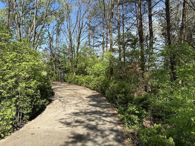 9665 Split Log Rd, Brentwood, TN 37027 - photo 4