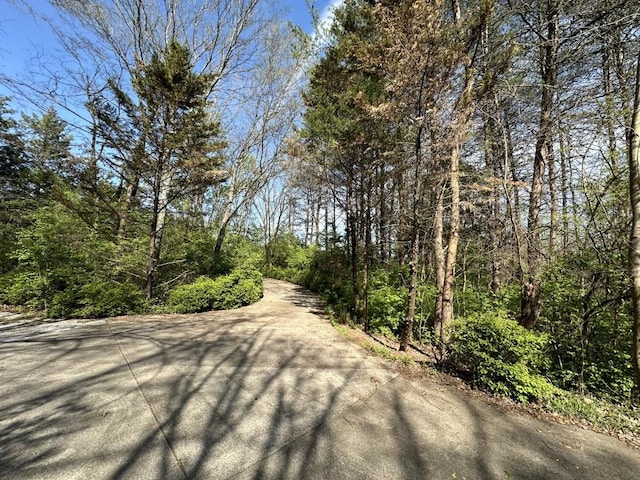 9665 Split Log Rd, Brentwood, TN 37027 - photo 7