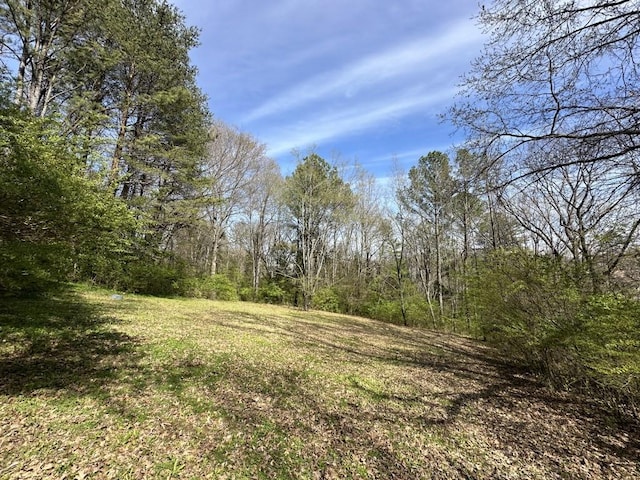 9665 Split Log Rd, Brentwood, TN 37027 - photo 8