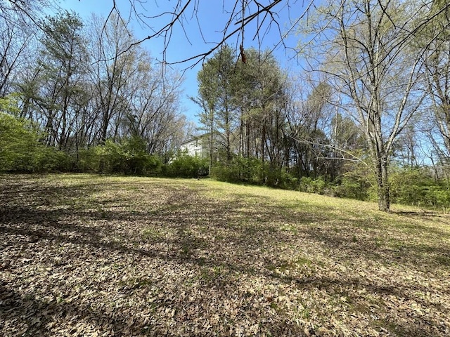 9665 Split Log Rd, Brentwood, TN 37027 - photo 11