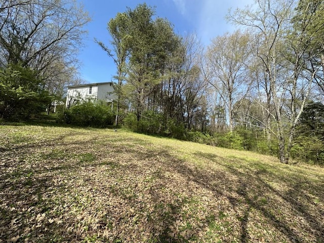 9665 Split Log Rd, Brentwood, TN 37027 - photo 24