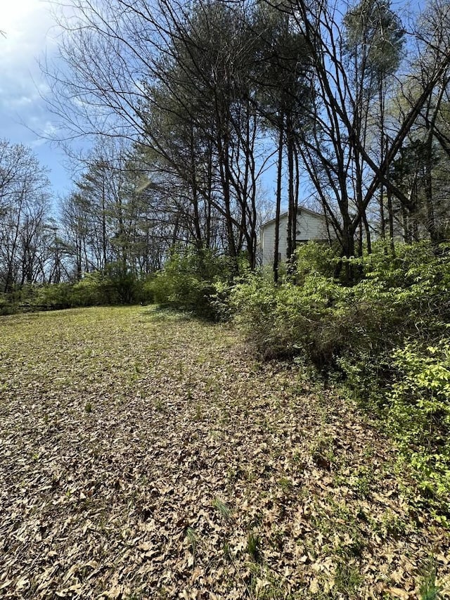 9665 Split Log Rd, Brentwood, TN 37027 - photo 12