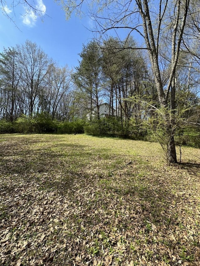 9665 Split Log Rd, Brentwood, TN 37027 - photo 10