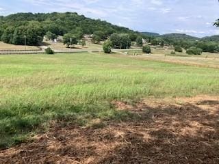 3076 Carters Creek Park, Franklin, TN 37064 - photo 16