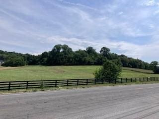 3076 Carters Creek Park, Franklin, TN 37064 - photo 20