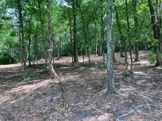3076 Carters Creek Park, Franklin, TN 37064 - photo 15
