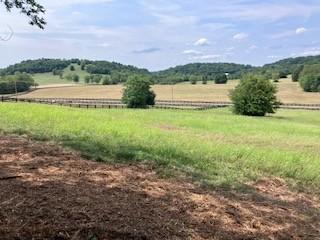 3076 Carters Creek Park, Franklin, TN 37064 - photo 17