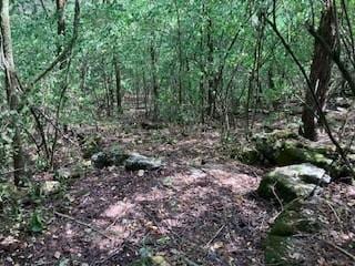 3076 Carters Creek Park, Franklin, TN 37064 - photo 12