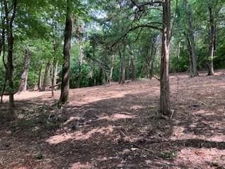 3076 Carters Creek Park, Franklin, TN 37064 - photo 14