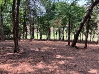 3076 Carters Creek Park, Franklin, TN 37064 - photo 13