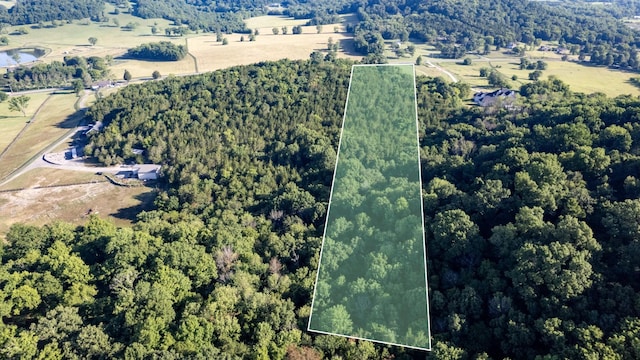 3076 Carters Creek Park, Franklin, TN 37064 - photo 4