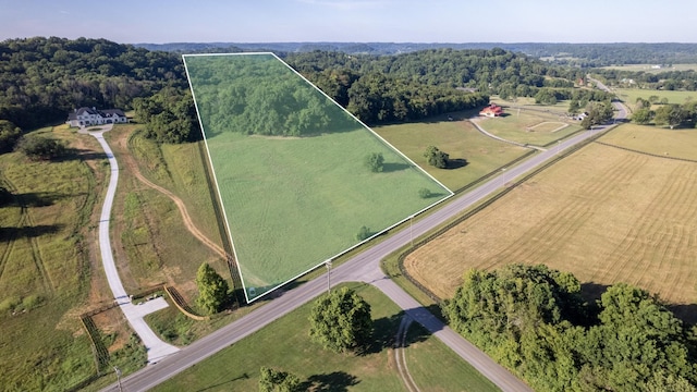 3076 Carters Creek Park, Franklin, TN 37064 - photo 1