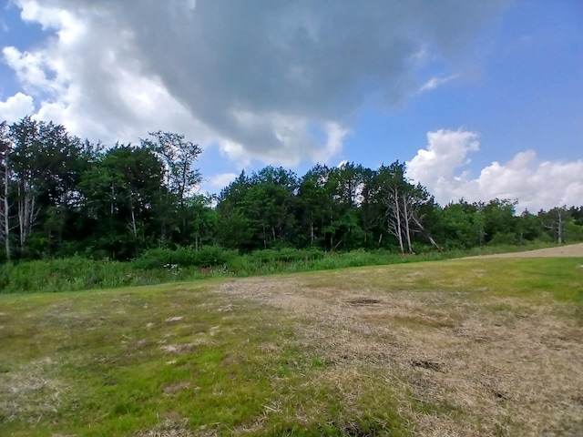 2105 Red Barn Rd, Christiana, TN 37037 - photo 9