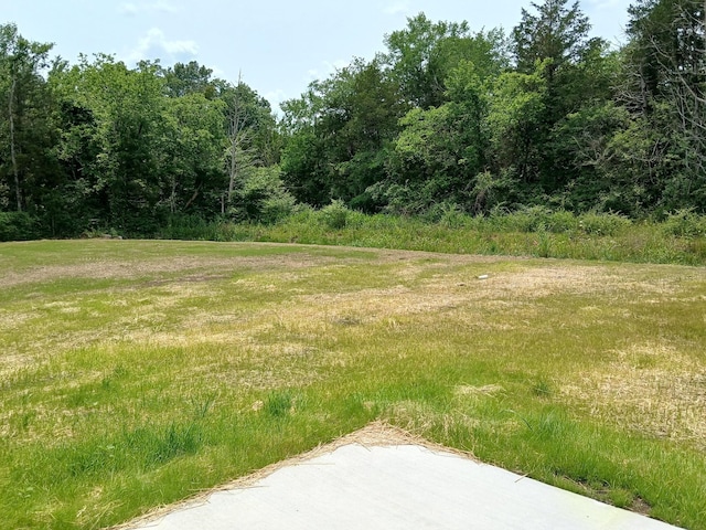 2105 Red Barn Rd, Christiana, TN 37037 - photo 20