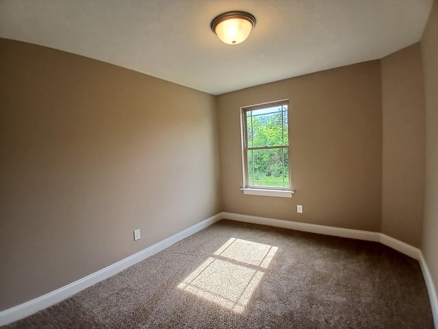 2105 Red Barn Rd, Christiana, TN 37037 - photo 92