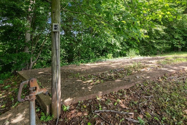 428 Gwin Cemetery Rd, Waverly, TN 37185 - view of undeveloped land