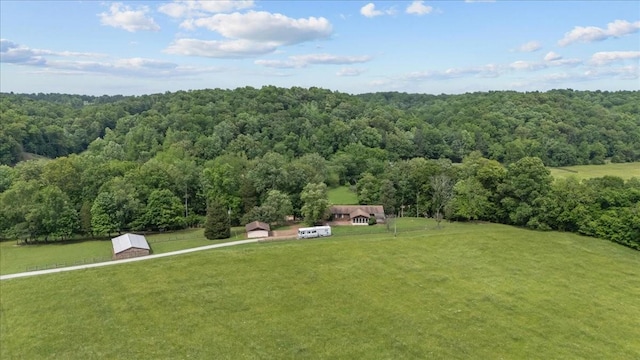 428 Gwin Cemetery Rd, Waverly, TN 37185 - view of subject property with a forest