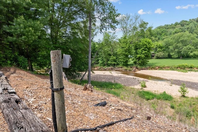 428 Gwin Cemetery Rd, Waverly, TN 37185 - exterior view of a forest