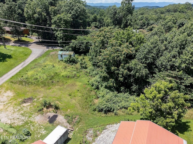 8158 Bell Campground Rd, Powell, TN 37849 - photo 3