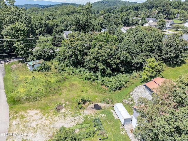 8158 Bell Campground Rd, Powell, TN 37849 - photo 2