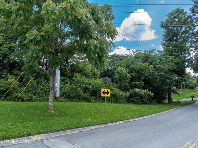 8158 Bell Campground Rd, Powell, TN 37849 - photo 9