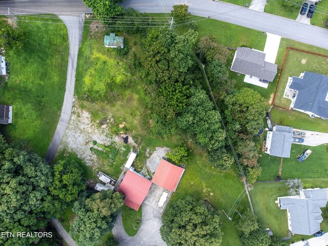 8158 Bell Campground Rd, Powell, TN 37849 - photo 14