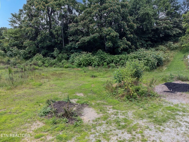 8158 Bell Campground Rd, Powell, TN 37849 - photo 4