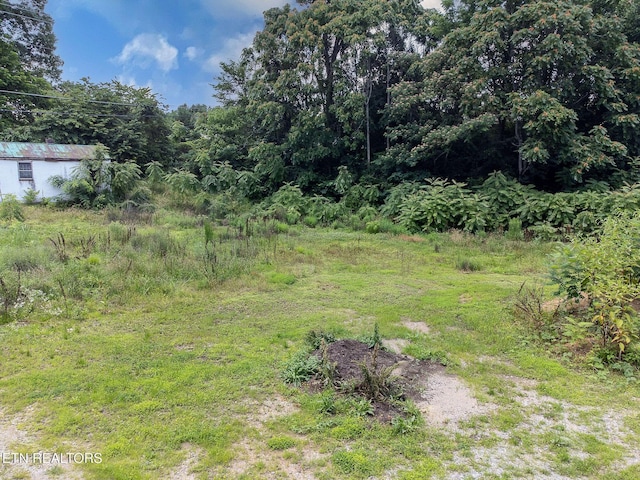 8158 Bell Campground Rd, Powell, TN 37849 - photo 5