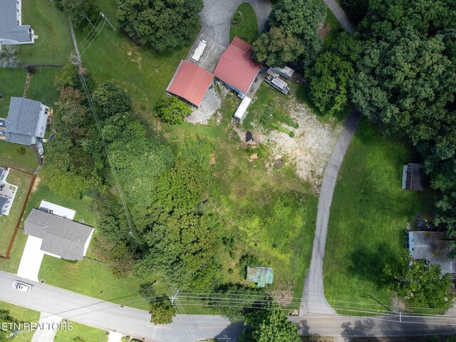8158 Bell Campground Rd, Powell, TN 37849 - photo 15