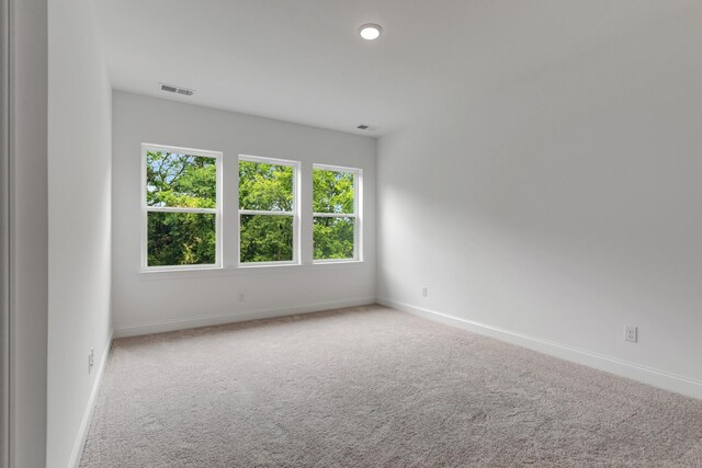 1279 Linn Cove Ct, Gallatin, TN 37066 - photo 26