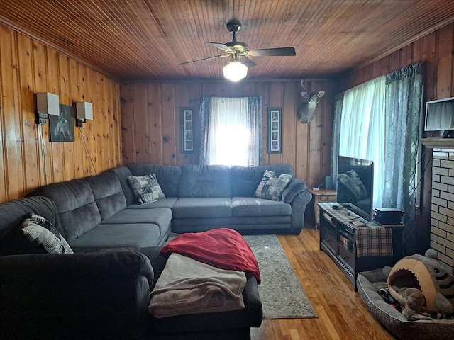 808 Days Rd, Lafayette, TN 37083 - living area with plenty of natural light, a ceiling fan, wooden walls, wood finished floors, and wood ceiling