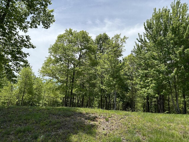 275 Lookout View Dr, Jasper, TN 37347