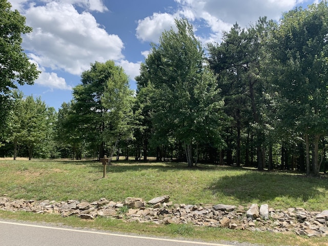 275 Lookout View Dr, Jasper, TN 37347