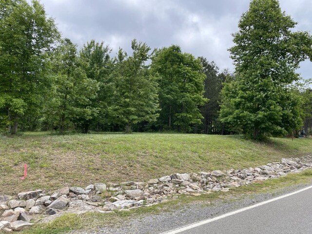 275 Lookout View Dr, Jasper, TN 37347