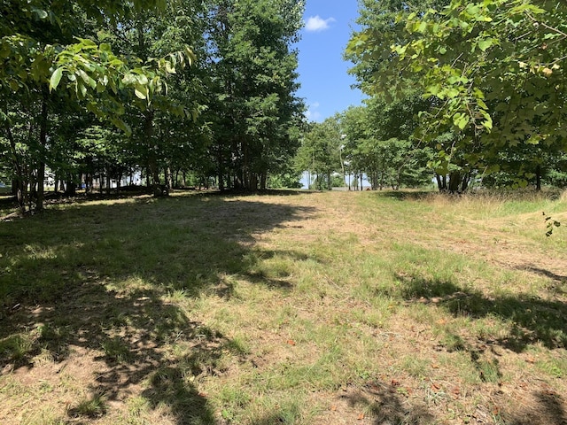 275 Lookout View Dr, Jasper, TN 37347