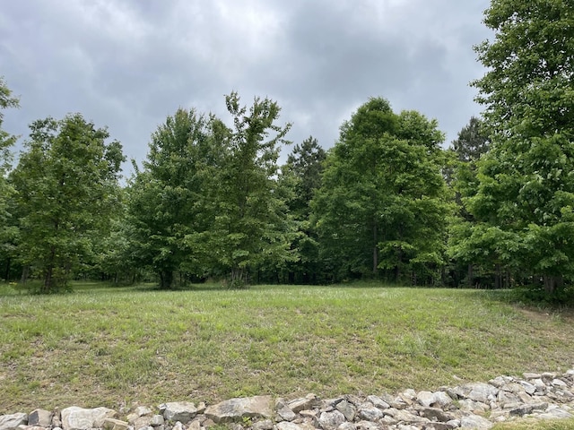 275 Lookout View Dr, Jasper, TN 37347