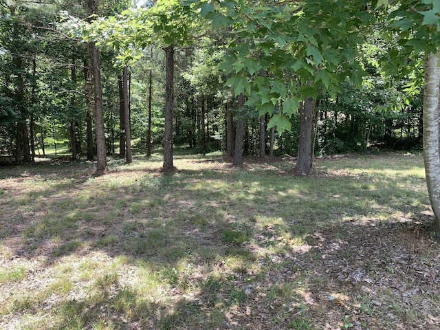 275 Lookout View Dr, Jasper, TN 37347