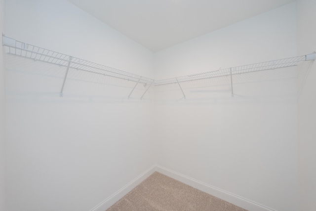 202 Phillips Bnd, Spring Hill, TN 37174 - photo 43