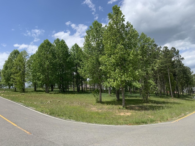1130 Sunset Cir, Jasper, TN 37347 - photo 5
