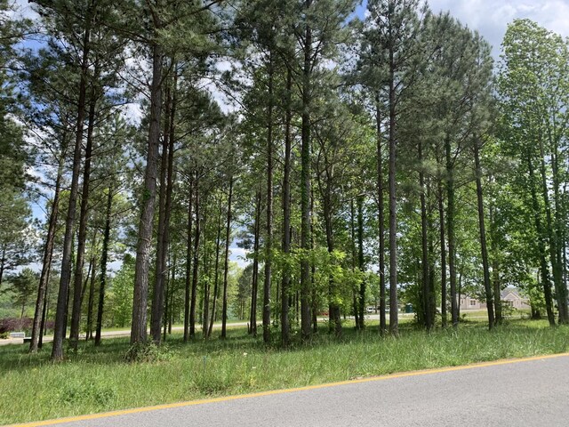 1130 Sunset Cir, Jasper, TN 37347 - photo 7