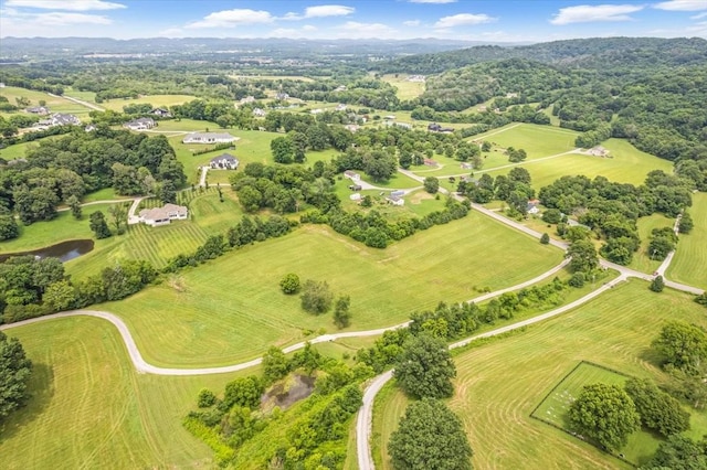 4364 Peytonsville Trinity Rd, Franklin, TN 37064 - photo 5