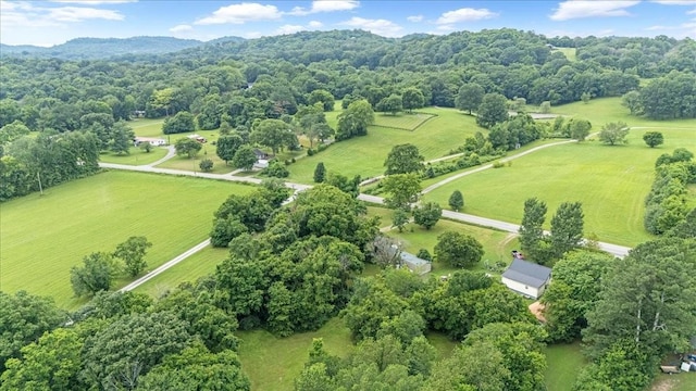 4364 Peytonsville Trinity Rd, Franklin, TN 37064 - photo 13