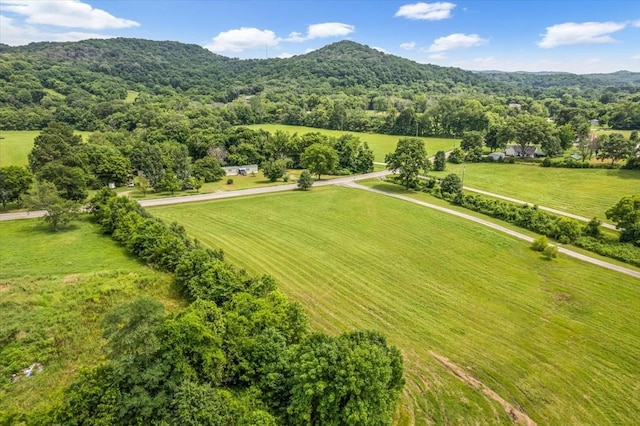 4364 Peytonsville Trinity Rd, Franklin, TN 37064 - photo 7