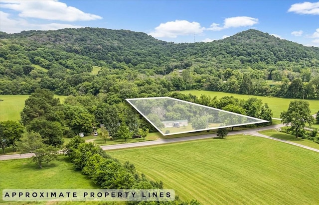 4364 Peytonsville Trinity Rd, Franklin, TN 37064 - photo 1