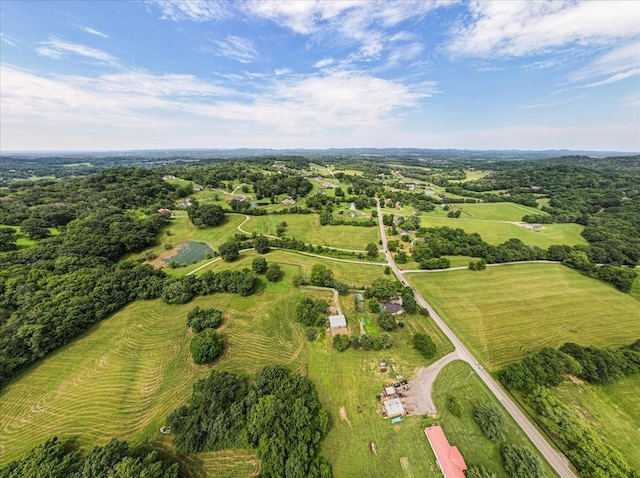 4364 Peytonsville Trinity Rd, Franklin, TN 37064 - photo 6
